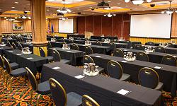 Meetings / Groups